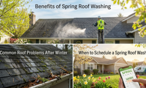 Roof Washing