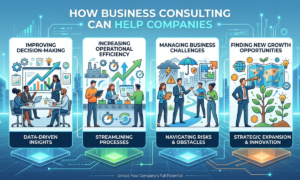 PedroVazPaulo Business Consultant